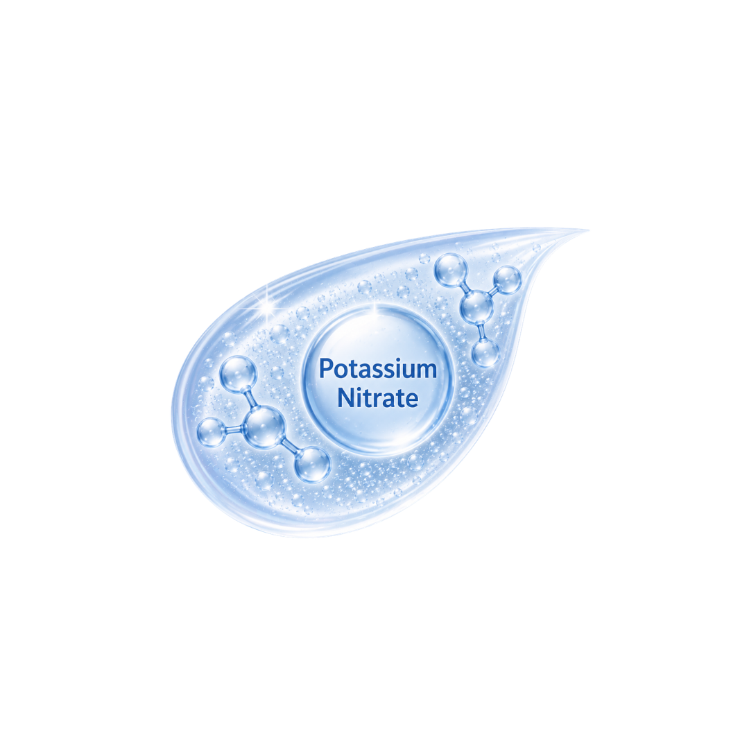 N1o1 ingredients - Potassium Nitrate